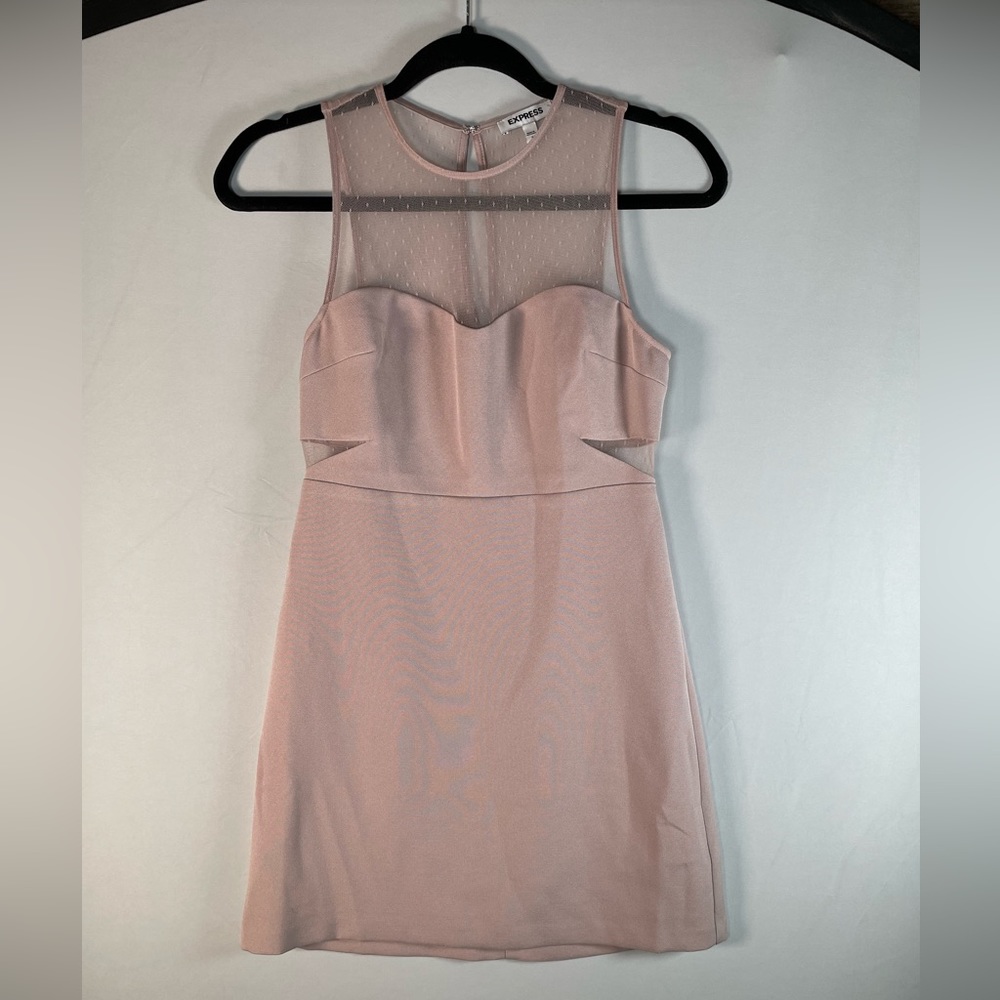 Express Short Pink Dress